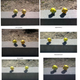 Image for article titled The Ultimate Smartphone Camera Battle